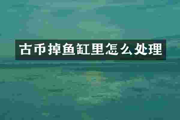 古币掉鱼缸里怎么处理