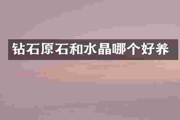 钻石原石和水晶哪个好养