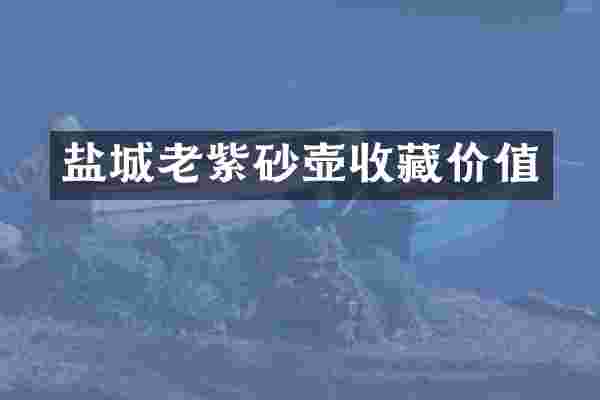 盐城老紫砂壶收藏价值