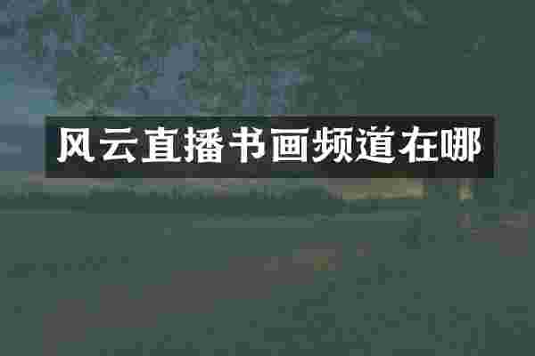 风云直播书画频道在哪