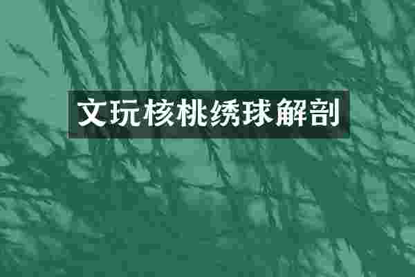 文玩核桃绣球解剖