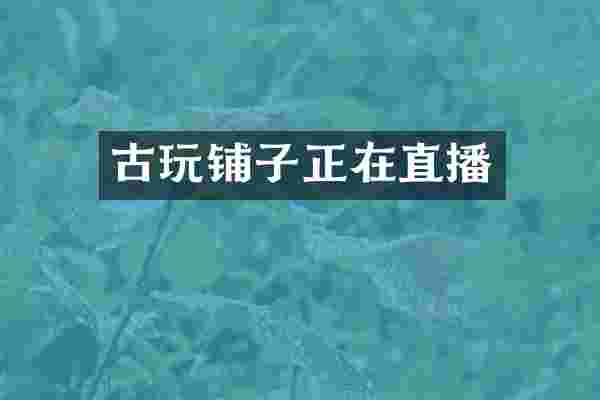 古玩铺子正在直播