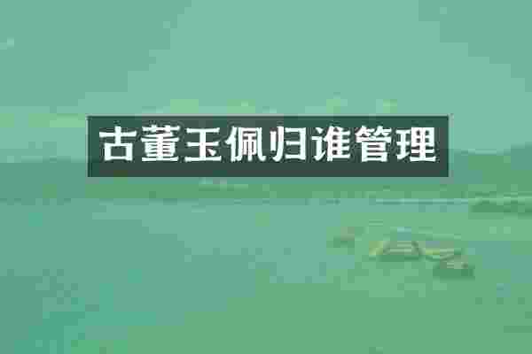 古董玉佩归谁管理