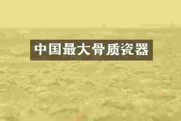 中国最大骨质瓷器