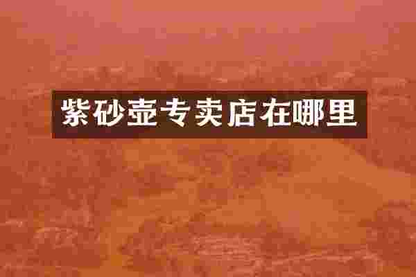 紫砂壶专卖店在哪里