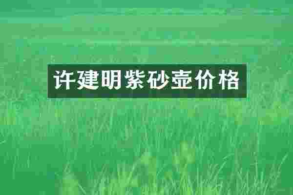 许建明紫砂壶价格