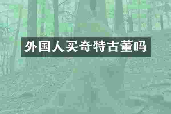 外国人买奇特古董吗