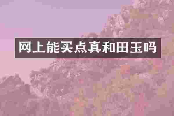 网上能买点真和田玉吗