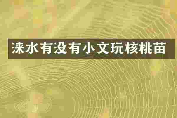 涞水有没有小文玩核桃苗