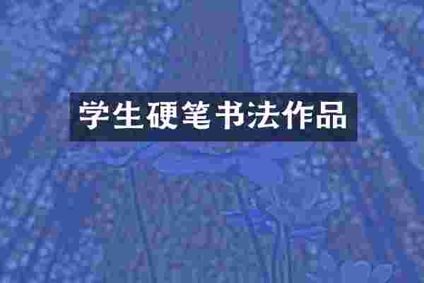 学生硬笔书法作品
