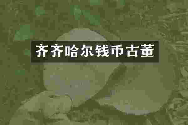 齐齐哈尔钱币古董