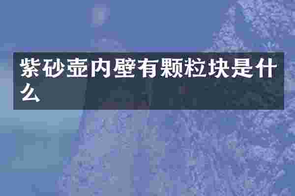 紫砂壶内壁有颗粒块是什么
