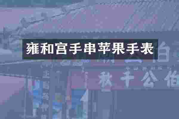 雍和宫手串苹果手表