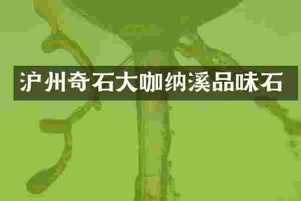 沪州奇石大咖纳溪品味石