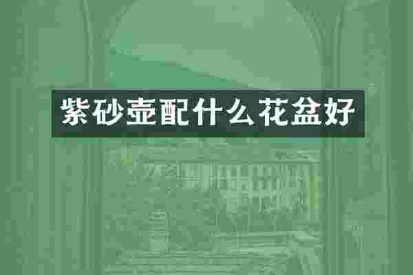 紫砂壶配什么花盆好