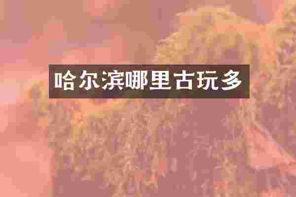 哈尔滨哪里古玩多