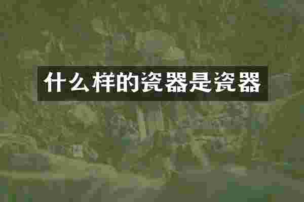 什么样的瓷器是瓷器