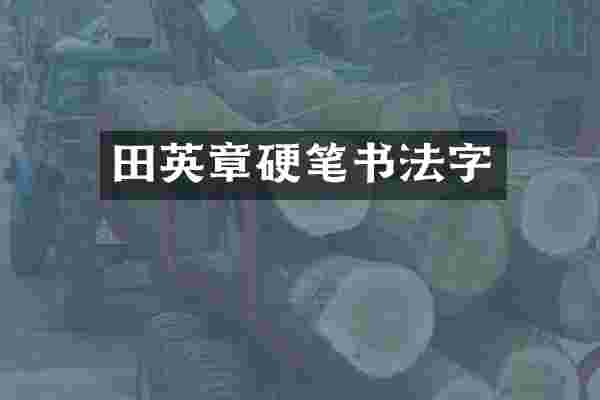 田英章硬笔书法字