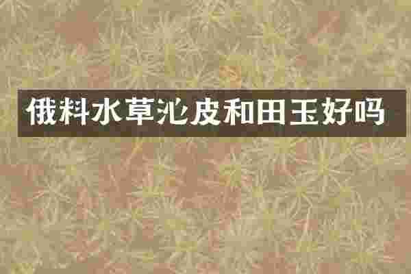 俄料水草沁皮和田玉好吗