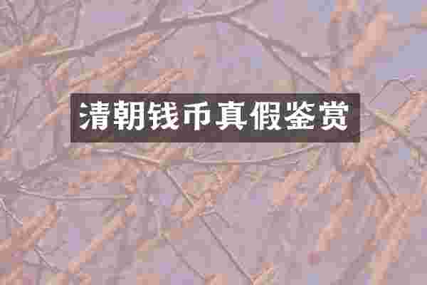 清朝钱币真假鉴赏