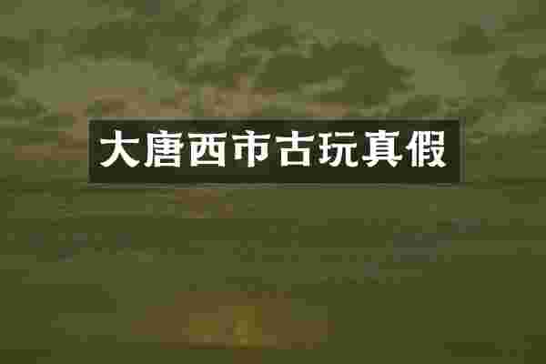 大唐西市古玩真假