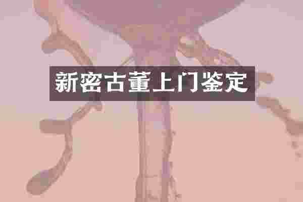 新密古董上门鉴定