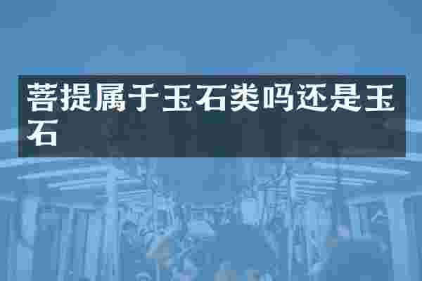 菩提属于玉石类吗还是玉石