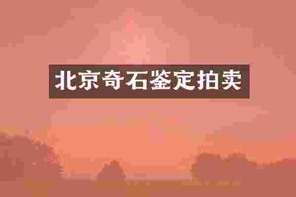 北京奇石鉴定拍卖