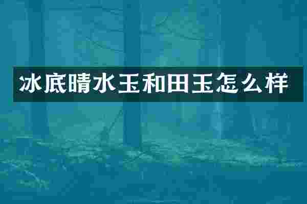 冰底晴水玉和田玉怎么样