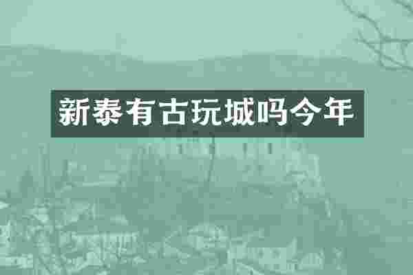 新泰有古玩城吗今年