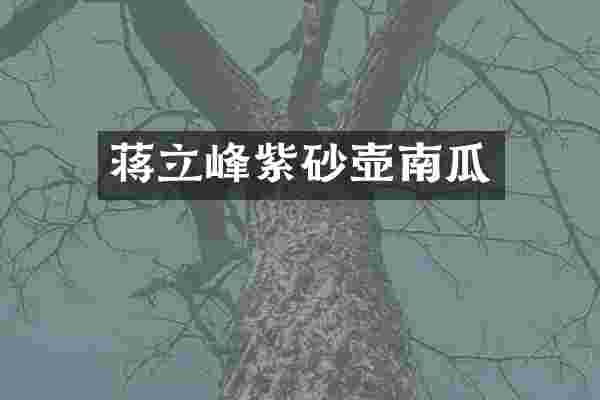 蒋立峰紫砂壶南瓜