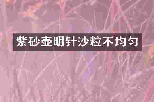 紫砂壶明针沙粒不均匀