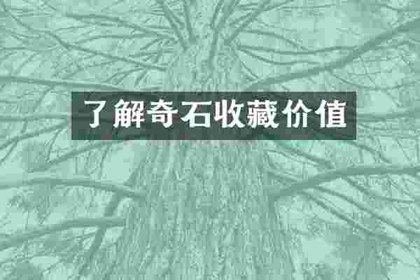 了解奇石收藏价值