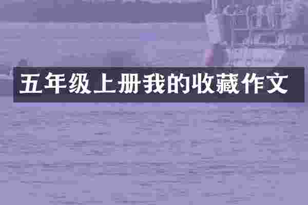 五年级上册我的收藏作文