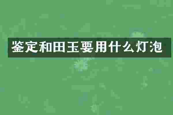 鉴定和田玉要用什么灯泡