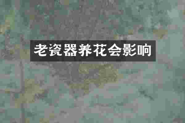 老瓷器养花会影响