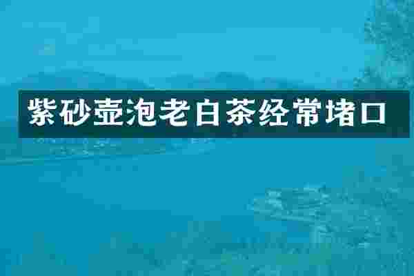 紫砂壶泡老白茶经常堵口