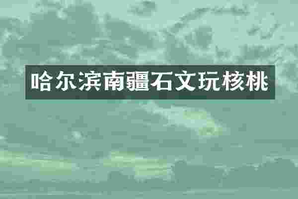 哈尔滨南疆石文玩核桃