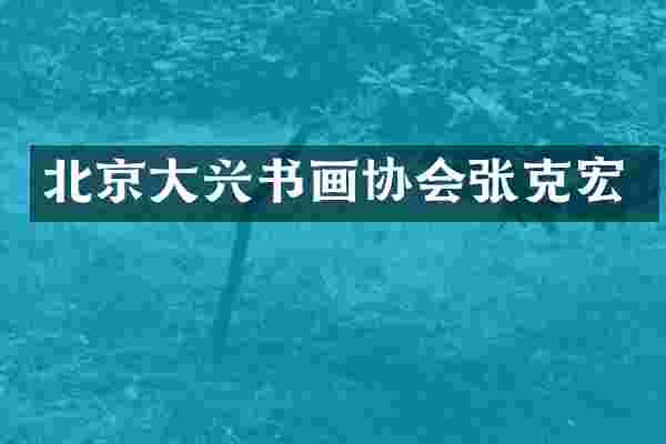 北京大兴书画协会张克宏