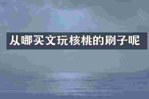 从哪买文玩核桃的刷子呢
