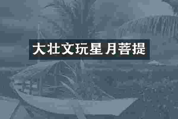 大壮文玩星月菩提