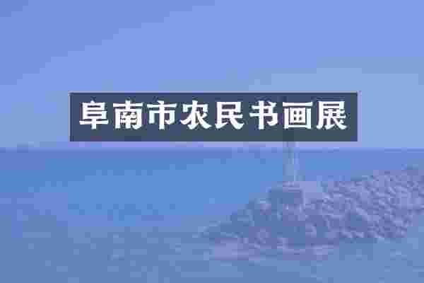 阜南市农民书画展