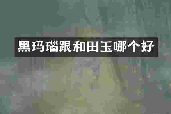 黑玛瑙跟和田玉哪个好