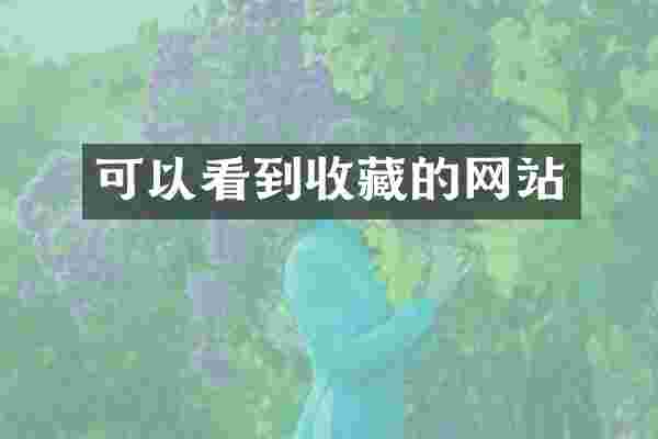 可以看到收藏的网站