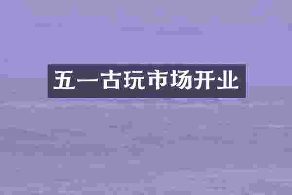 五一古玩市场开业