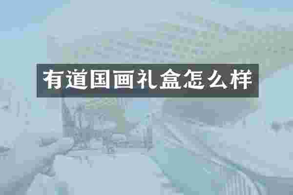 有道国画礼盒怎么样