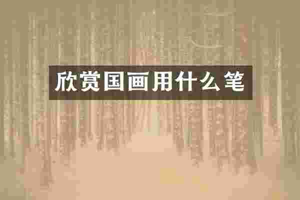 欣赏国画用什么笔
