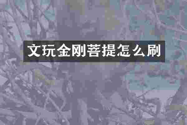 文玩金刚菩提怎么刷