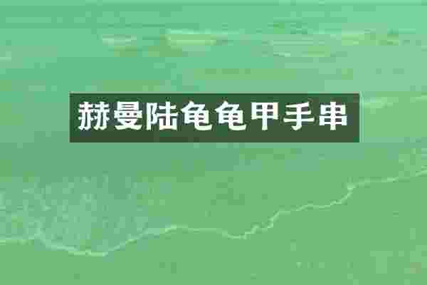 赫曼陆龟龟甲手串