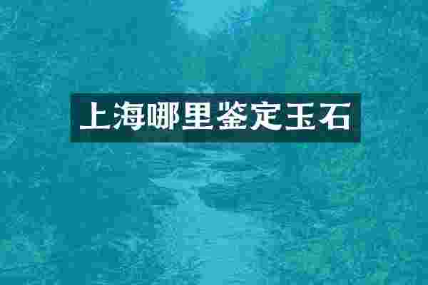 上海哪里鉴定玉石